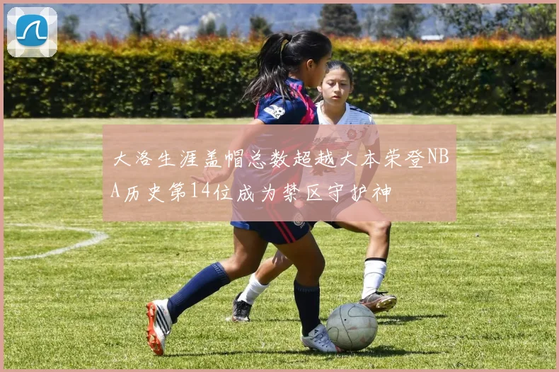 大洛生涯盖帽总数超越大本荣登NBA历史第14位成为禁区守护神